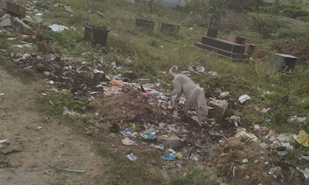 Garbage piles up in Sanjay Gandhi Nagar