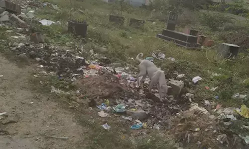 Garbage piles up in Sanjay Gandhi Nagar