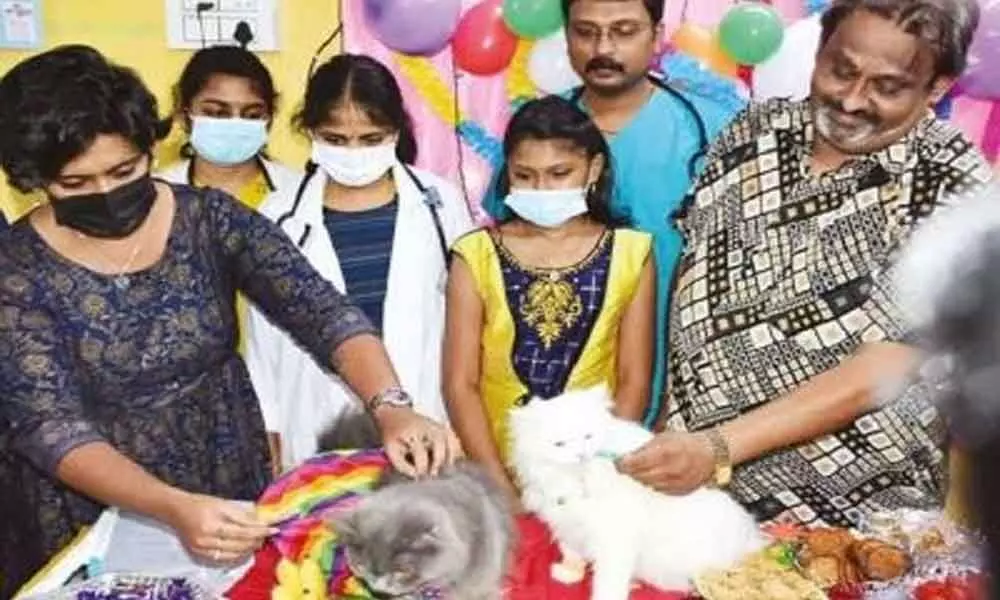 Man hosts baby shower for pregnant Persian cats in Coimbatore