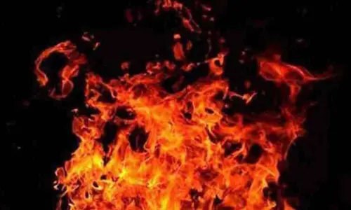 For representational purpose