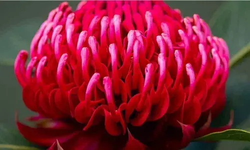 (asiafoto/Getty Images)