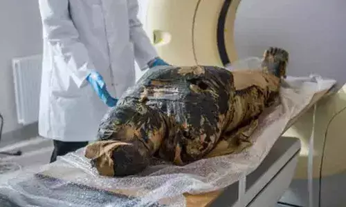 The mummy scientifically proven to have been pregnant when embalmed. She was previously thought to be a male priest named Hor-Djehuty.