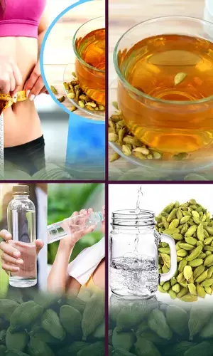 How to lose Weight by Drinking Elaichi (cardamom) Water Everyday?
