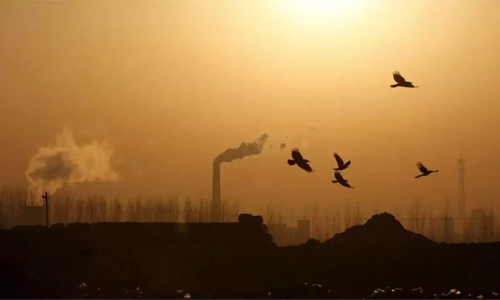 Birds fly over a closed steel factory where chimneys of another working factory are seen in the background, in Tangshan, Hebei province, China, February 27, 2016. (Photo: Reuters)