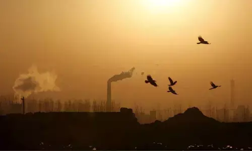 Birds fly over a closed steel factory where chimneys of another working factory are seen in the background, in Tangshan, Hebei province, China, February 27, 2016. (Photo: Reuters)