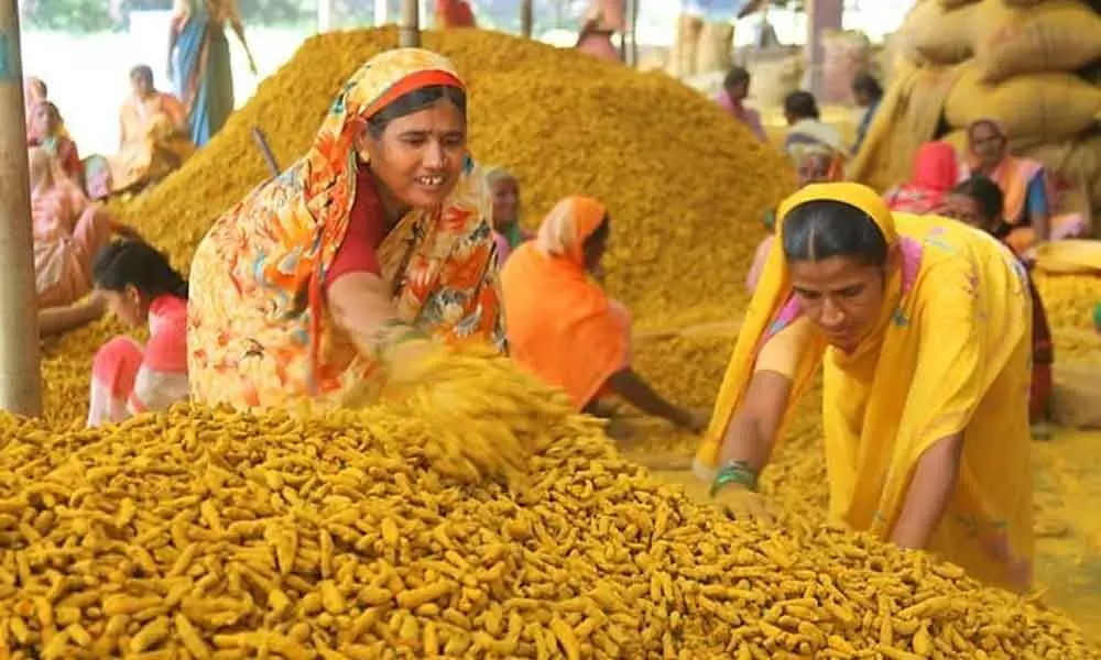 Nizamabad: Turmeric farmers fail to get fair price for produce