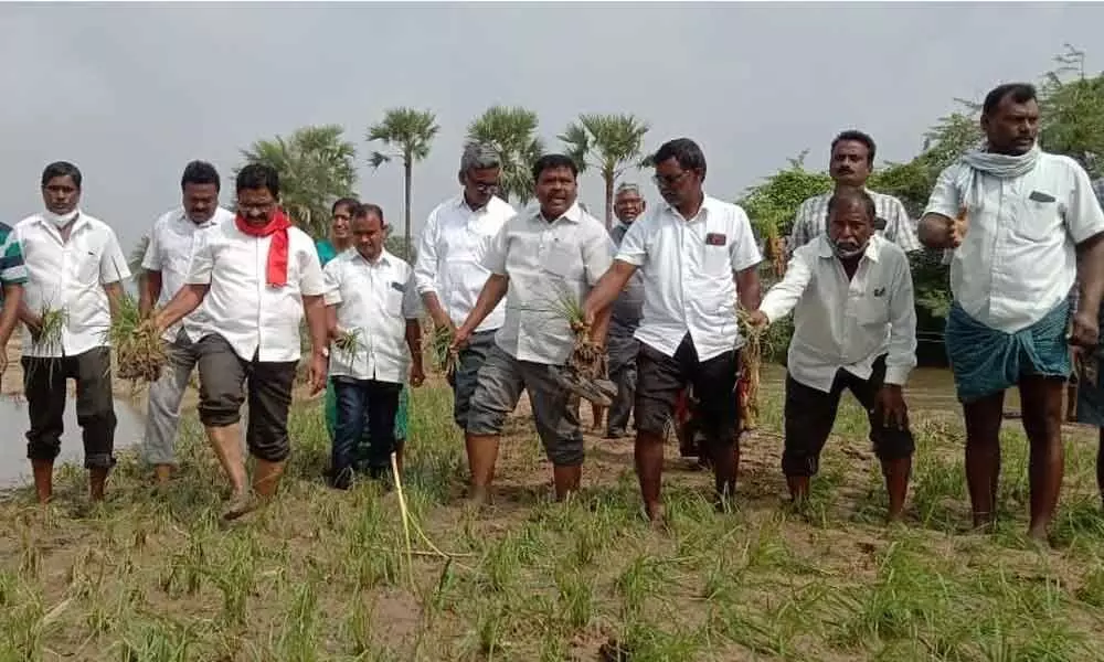 CPM leader and former MLA Julakanti Ranga Reddy along with other leaders inspecting the damaged paddy  in Suryapet mandal