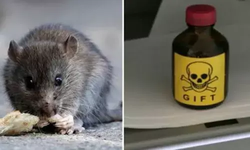 Representational image