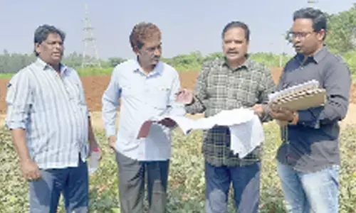 Prakasam district SC Corporation ED Tutika Srinivasa Viswanadh and revenue staff inspecting the lands of SCs to be released from mortgage in Kandukur Assembly constituency on Wednesday