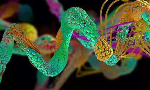 Study Reveals That How Protein Might Had Played A Major Role In The Origin Of Life