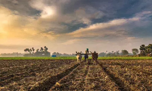 FAIFA seeks protection of FCV farmers