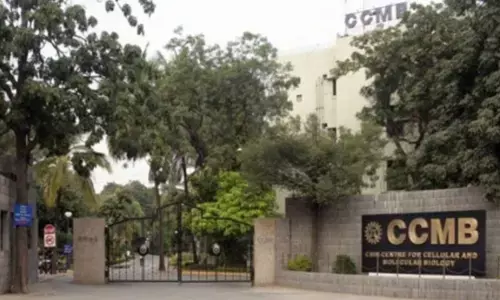 CCMB develops nano-curcumin structures to cure chronic ailments