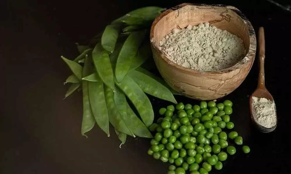 Pea Protein 101: Decoding the myths