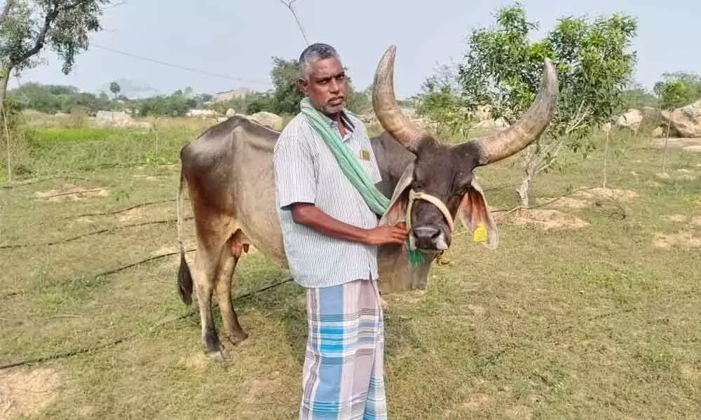 TN farmer sets example by developing integrated farm