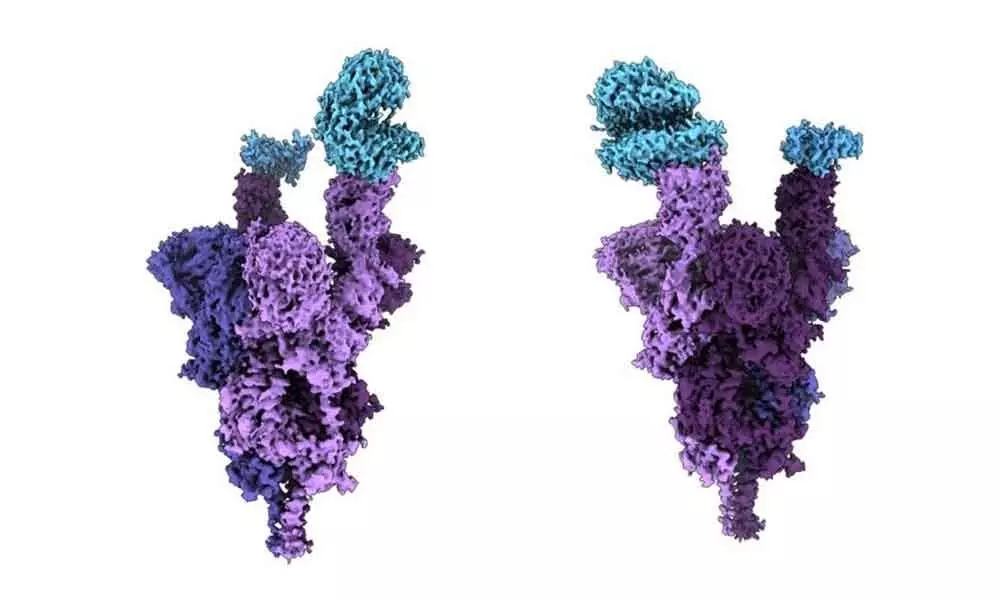 Indian-origin scientist creates first molecular structure of Omicron protein