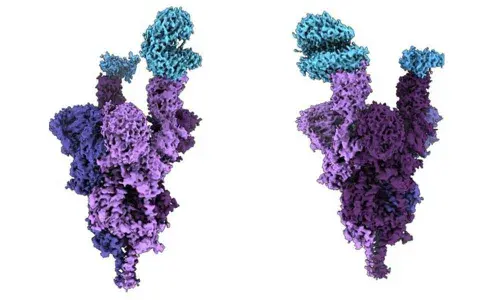 Indian-origin scientist creates 1st molecular structure of Omicron protein