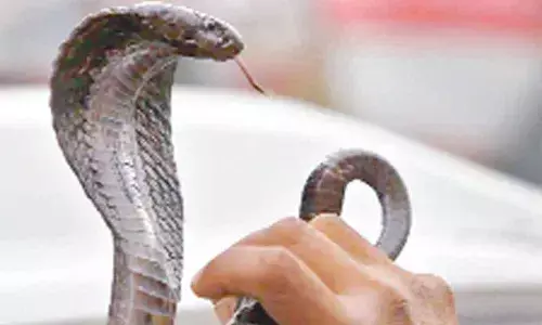 Escaping by the skin of our teeth