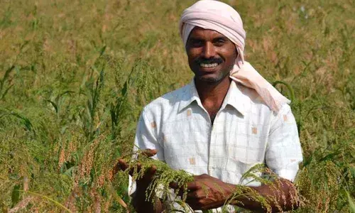 Kadapa: Farmers under KC canal in fix over cultivating wet crops
