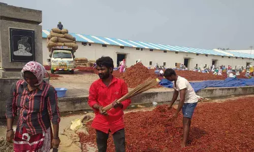 Covid restrictions ignored in Guntur Mirchi Yard