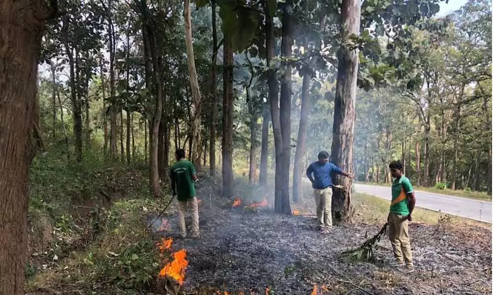 Forest department deploys tech to prevent wildfire