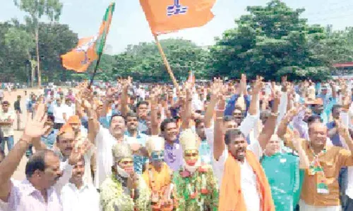 State BJP in a fix, seeks central advice on cabinet rejig