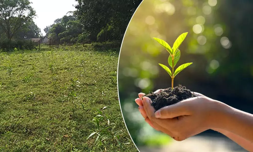 Let us plant hope on Republic Day for a greener tomorrow