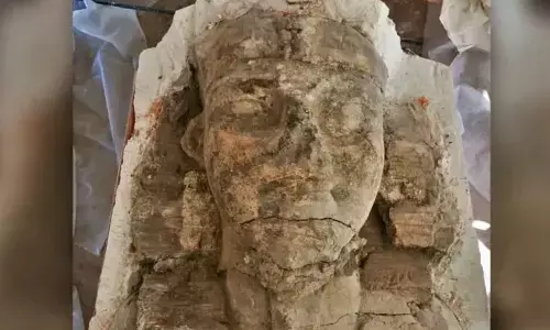 The statue head of King Amenhotep III. (Egyptian Ministry of Tourism and Antiquities)