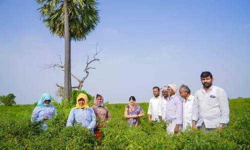 ZP Chairperson Buchepalli Venkayamma interacting with farmers and farm workers at Agraharam in Mundlamuru mandal on Tuesday