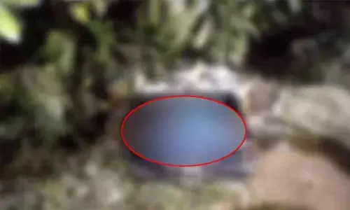 For representational purpose