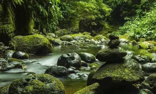 National Geographic Day