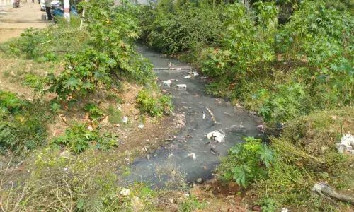 Visakhapatnam: Police vigilance needs to be intensified in colony