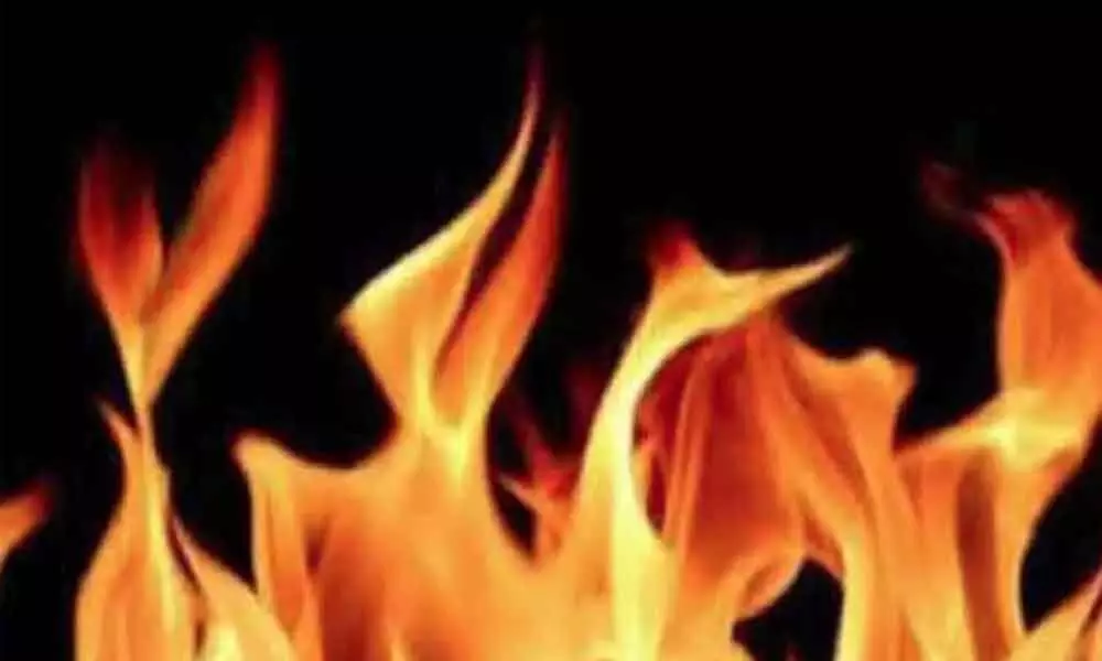 Hyderabad woman burnt alive in Nellore