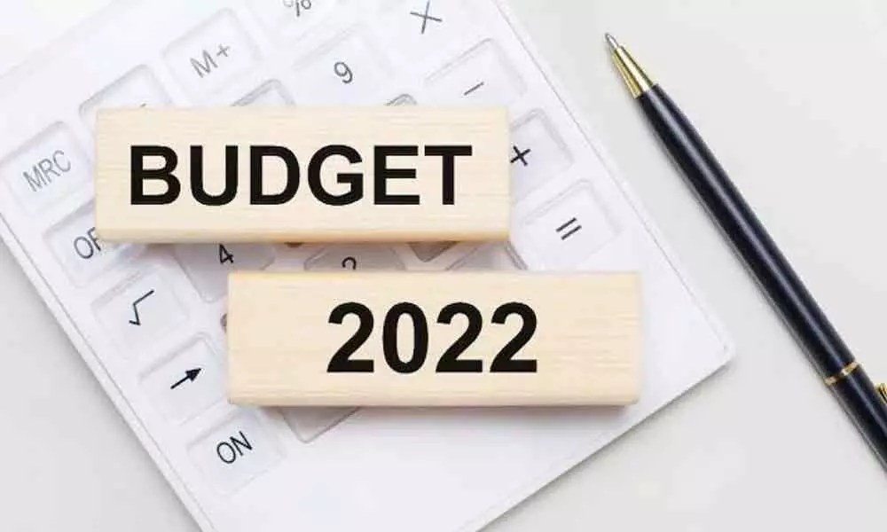 Key challenges for Finance Minister ahead of Budget 2022