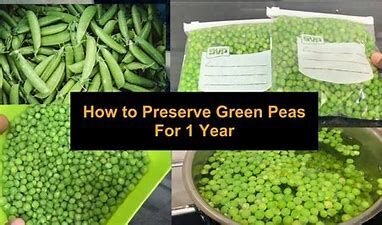 Learn how to store Peas at Home: Next Time do not buy Frozen Peas
