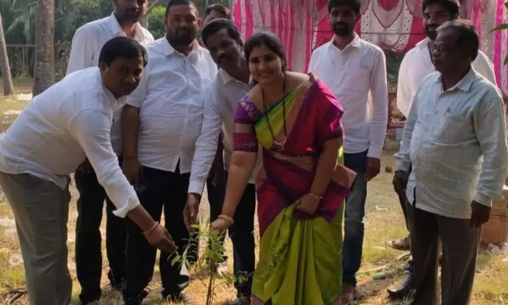 ZP chairperson Piriya Vijaya  planting saplings