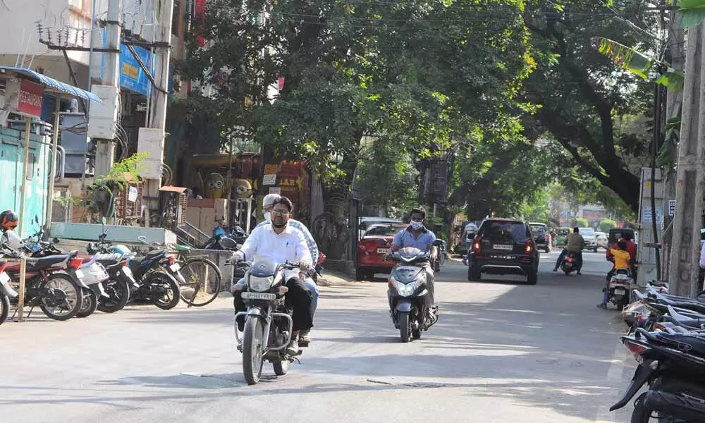 CC road with trees in Revenue Colony