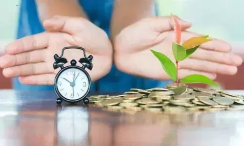 Multi cap vs Flexi cap: Which fund is better suited for you?