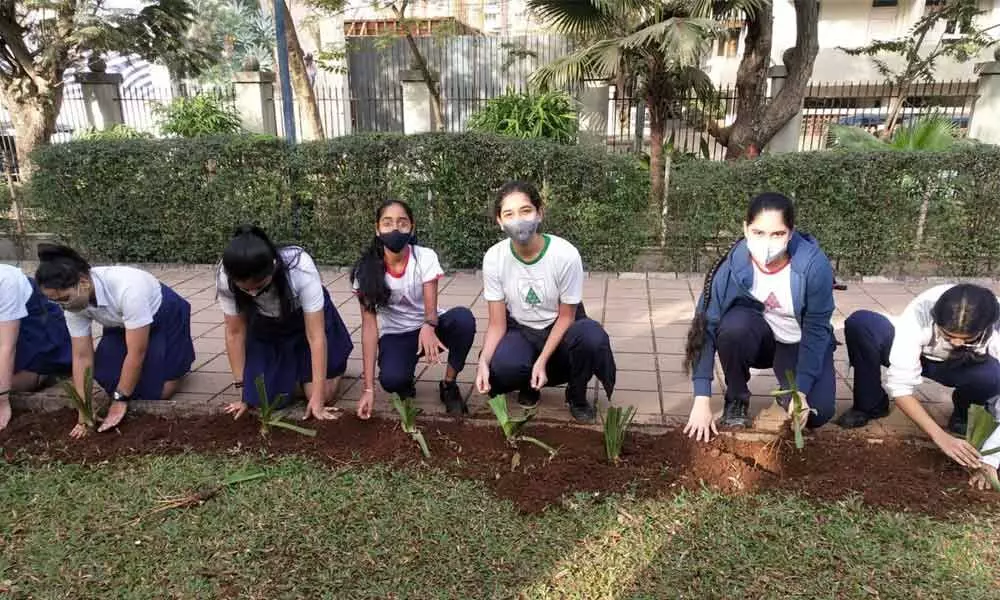 Encouraging students to connect with nature