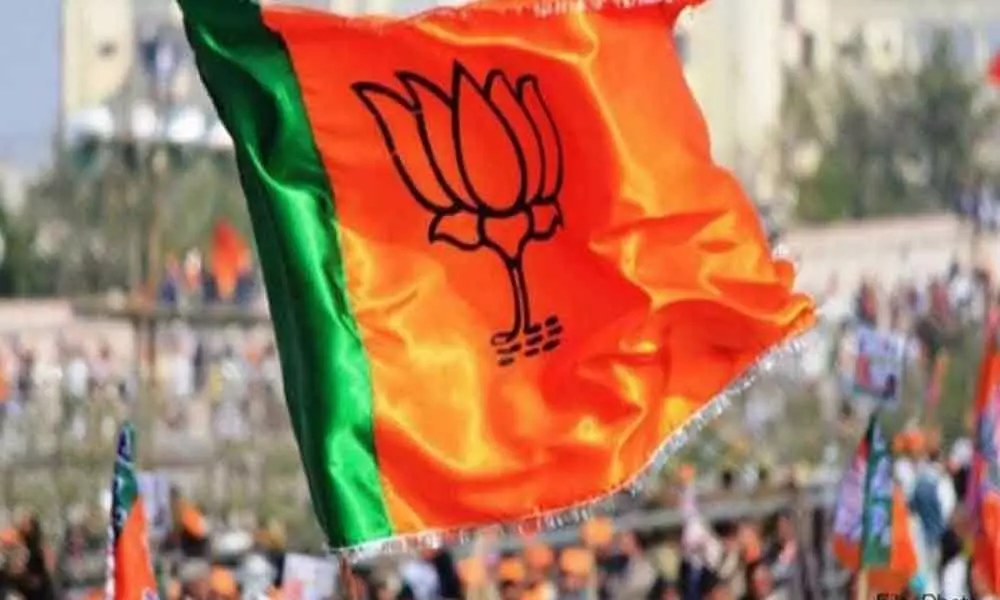 BJP takes serious note of attack on partys Punjab candidate; Shekhawat says violence is unacceptable