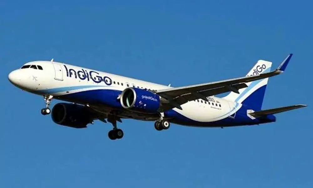 Indigo Airlines services