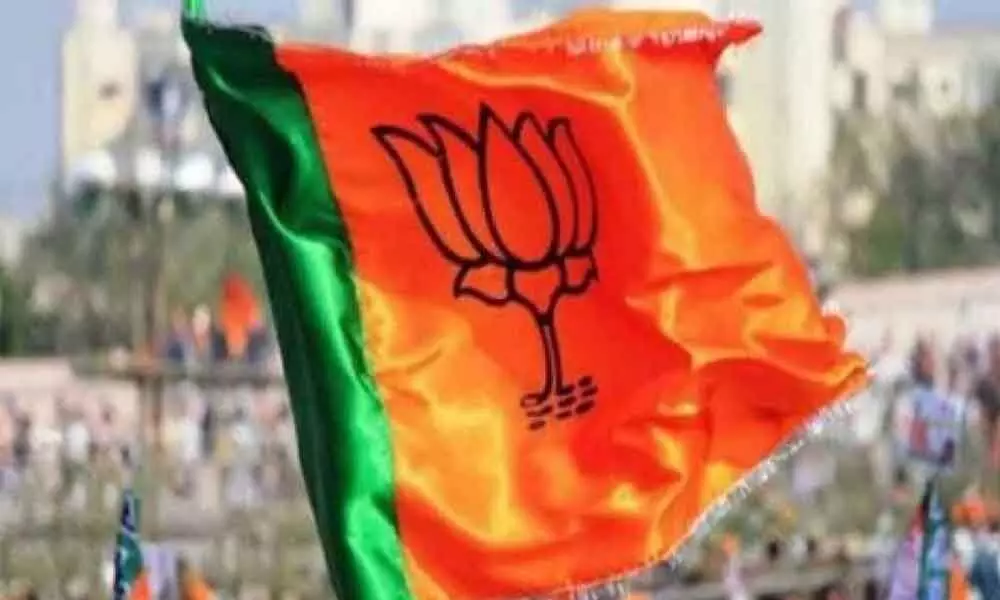 BJP Flag
