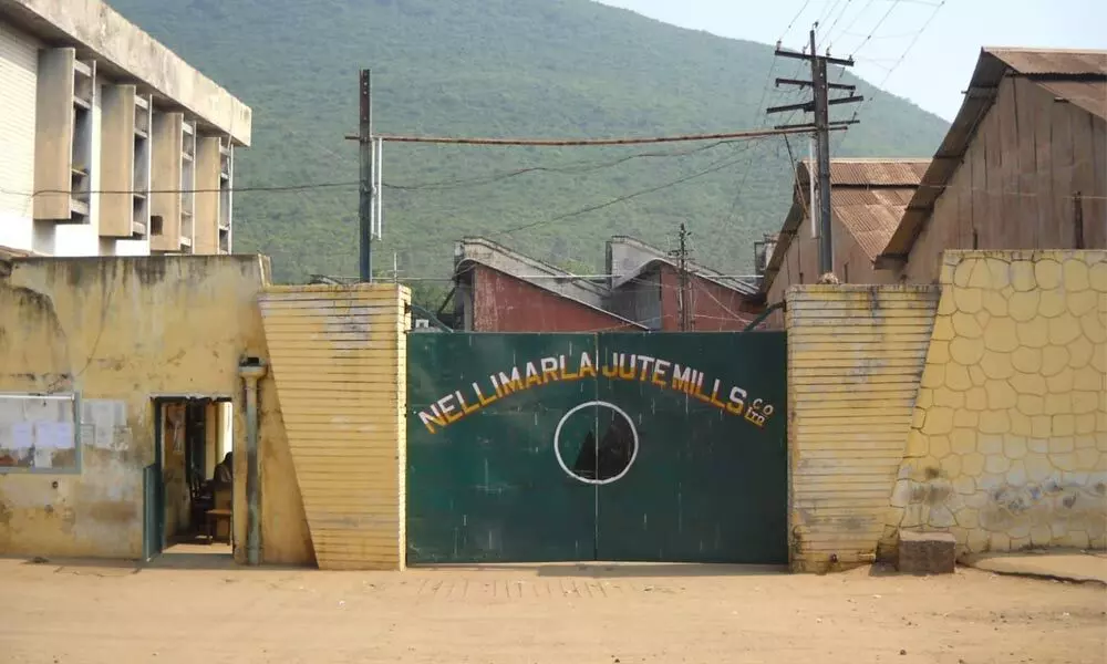 Nellimarla jute mills