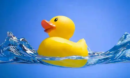 National Lame Duck Day