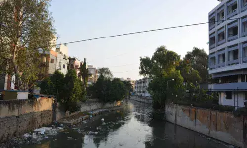 Foul smell from Patny nala makes life miserable