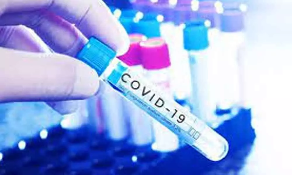 8,425 Covid-19 cases, 47 deaths in Karnataka