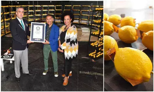 Fruit battery made from 2,923 lemons breaks electrifying record