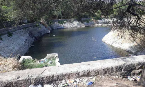 Land sharks eye stream of Bam Ruknud Dowla Lake