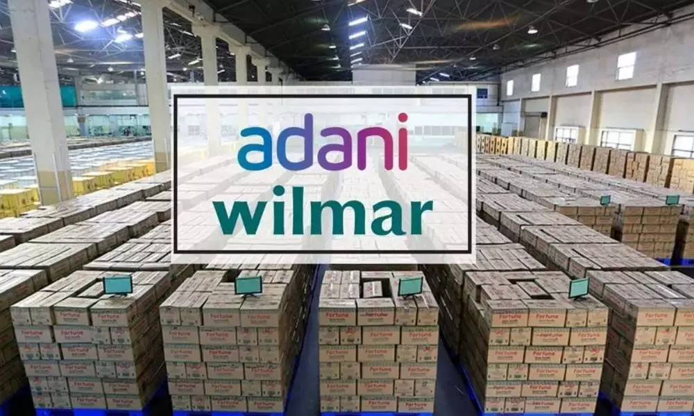 Adani Wilmar shares