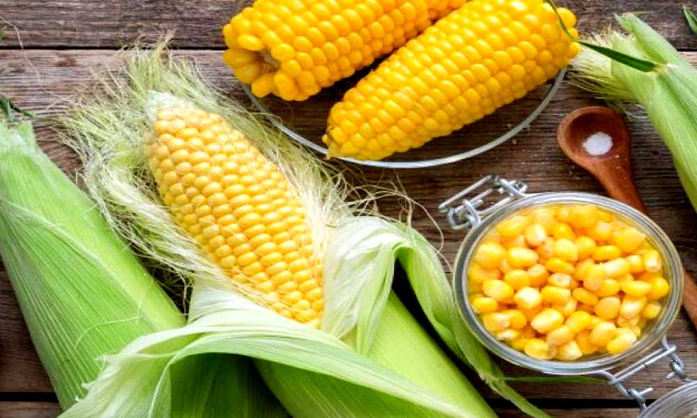 A Few Good Reasons to Eat Corn for Weight Loss