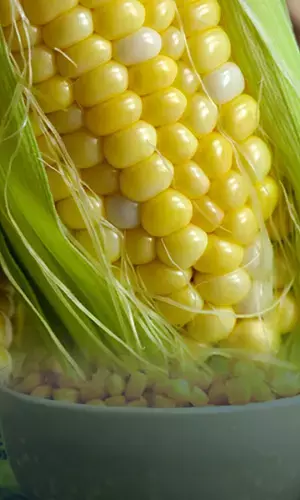 A Few Good Reasons to Eat Corn for Weight Loss